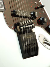 Stratocaster with Performer